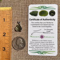 Raw Moldavite Pendant Sterling Silver #8628-Moldavite Life