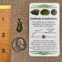 Raw Moldavite Pendant Sterling Silver #8635-Moldavite Life