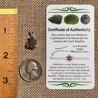 Raw Moldavite Pendant Sterling Silver #8636-Moldavite Life