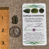 Raw Moldavite Pendant Sterling Silver #8772-Moldavite Life