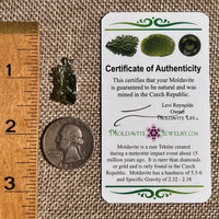 Raw Moldavite Pendant Sterling Silver #8843-Moldavite Life