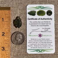 Raw Moldavite Pendant Sterling Silver #8846-Moldavite Life