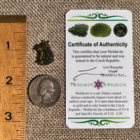 Raw Moldavite Pendant Sterling Silver #8855-Moldavite Life