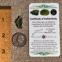 Raw Moldavite Pendant Sterling Silver #8859-Moldavite Life