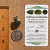 Raw Moldavite & Phenakite Pendant Sterling #7524-Moldavite Life
