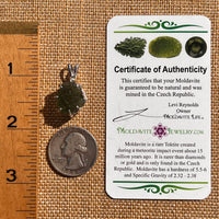 Raw Moldavite & Phenakite Pendant Sterling #7525-Moldavite Life