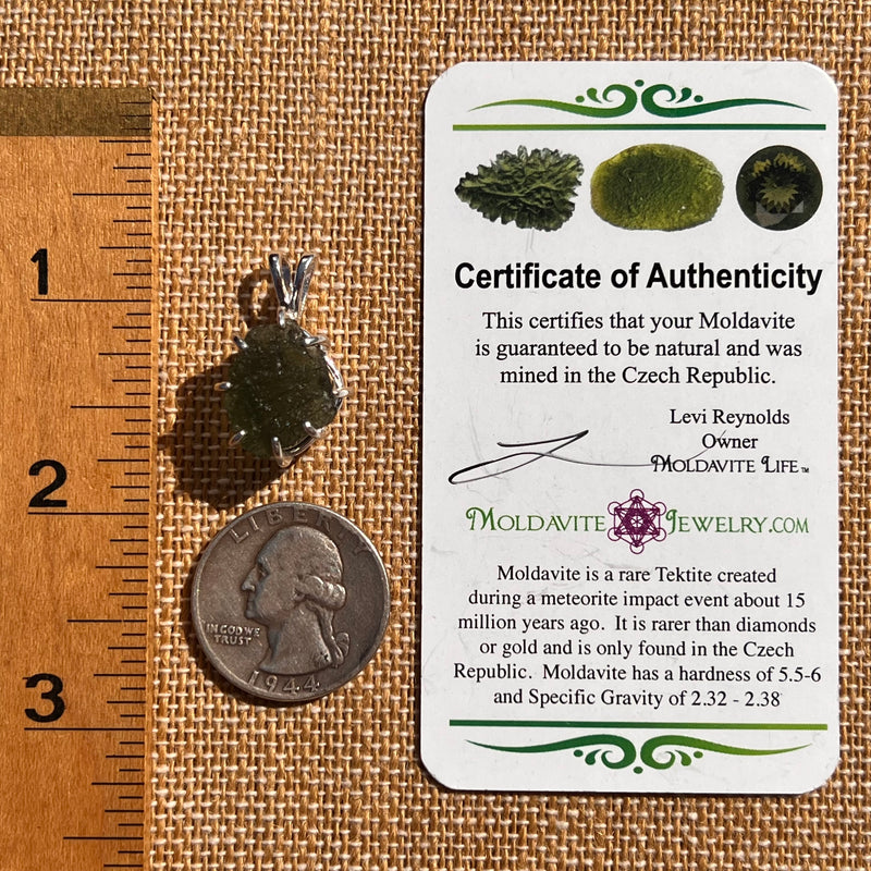 Raw Moldavite & Phenakite Pendant Sterling #7525-Moldavite Life