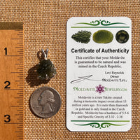 Raw Moldavite & Phenakite Pendant Sterling #7526-Moldavite Life