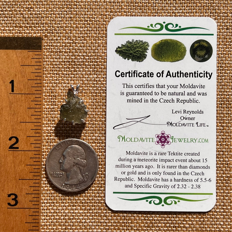 Raw Moldavite & Phenakite Pendant Sterling #7647-Moldavite Life