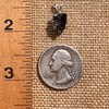Raw Shungite Pendant Silver Elite Noble #7153-Moldavite Life