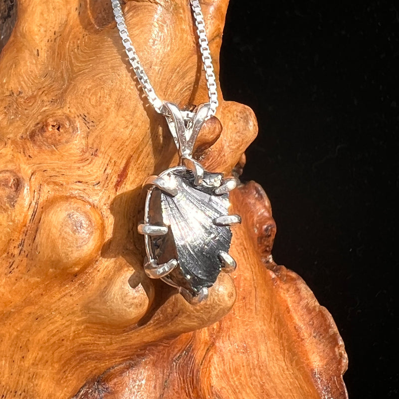 Raw Shungite Pendant Silver Elite Noble #7163-Moldavite Life