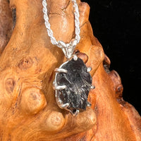 Raw Shungite Pendant Silver Elite Noble #7176-Moldavite Life