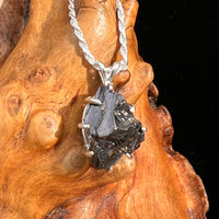 Raw Shungite Pendant Silver Elite Noble #7190-Moldavite Life