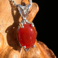 Red Carnelian Pendant Sterling Silver #6496-Moldavite Life