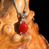 Red Carnelian Pendant Sterling Silver #6496-Moldavite Life