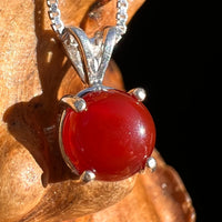 Red Carnelian Pendant Sterling Silver #6497-Moldavite Life