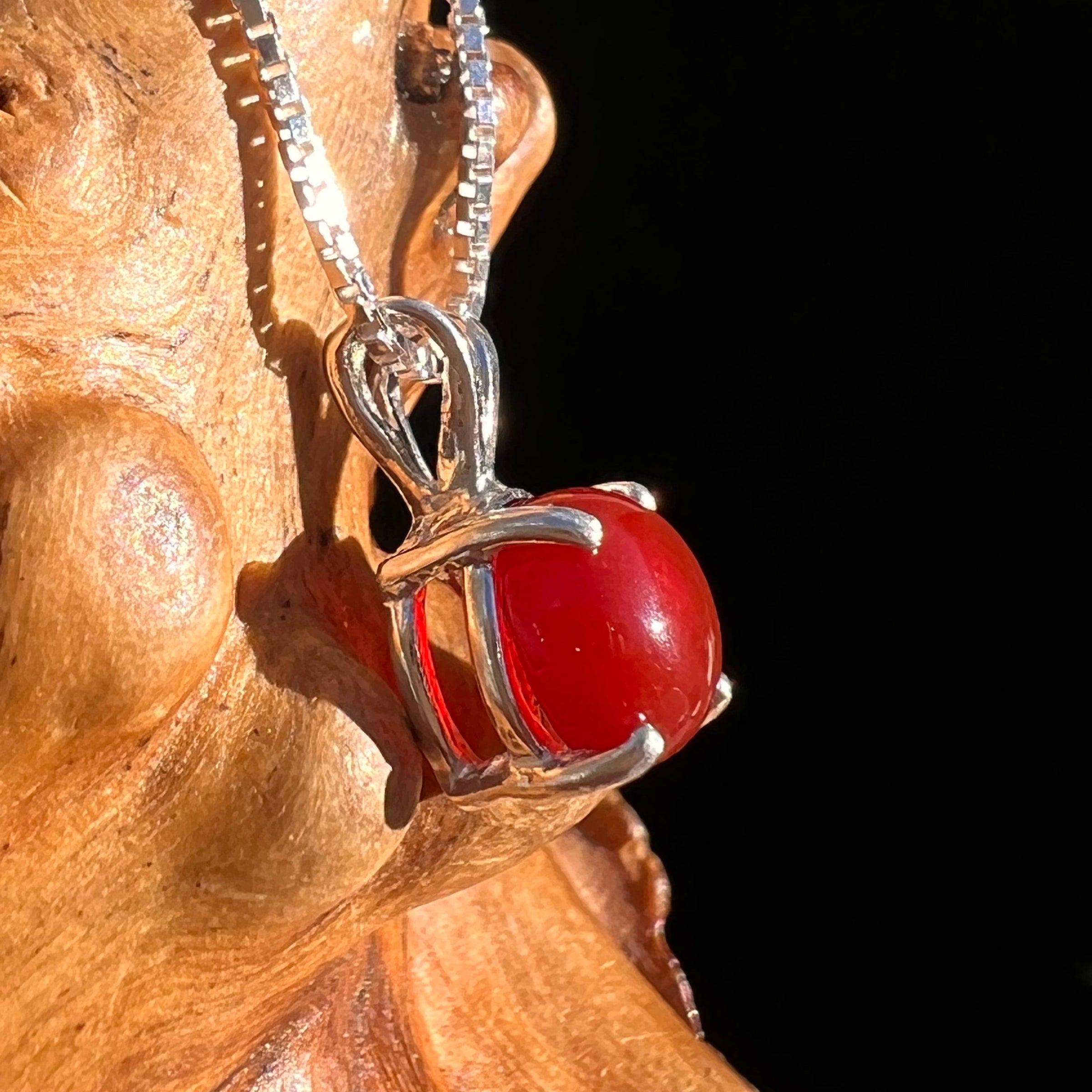 Red Carnelian Pendant Sterling Silver #6497-Moldavite Life