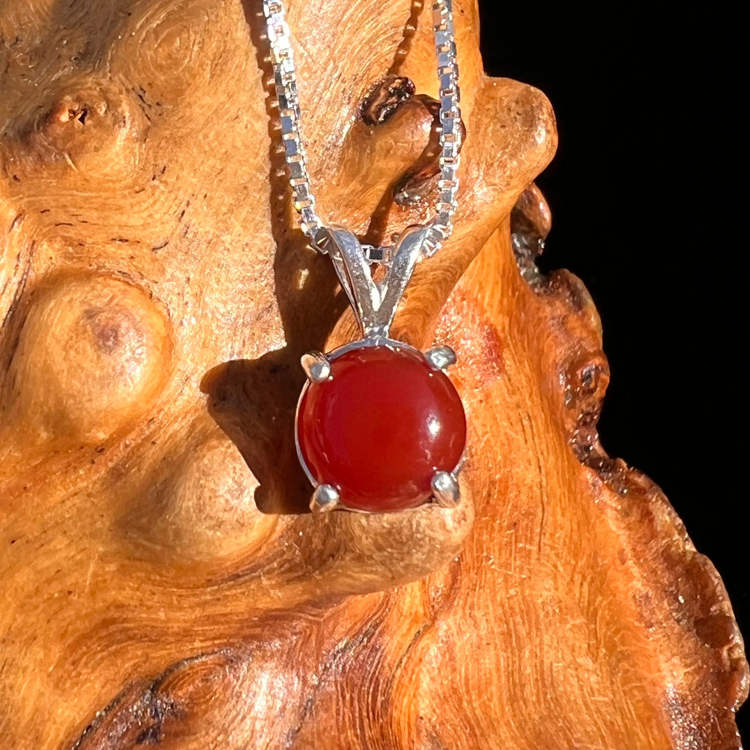 Red Carnelian Pendant Sterling Silver #6497-Moldavite Life