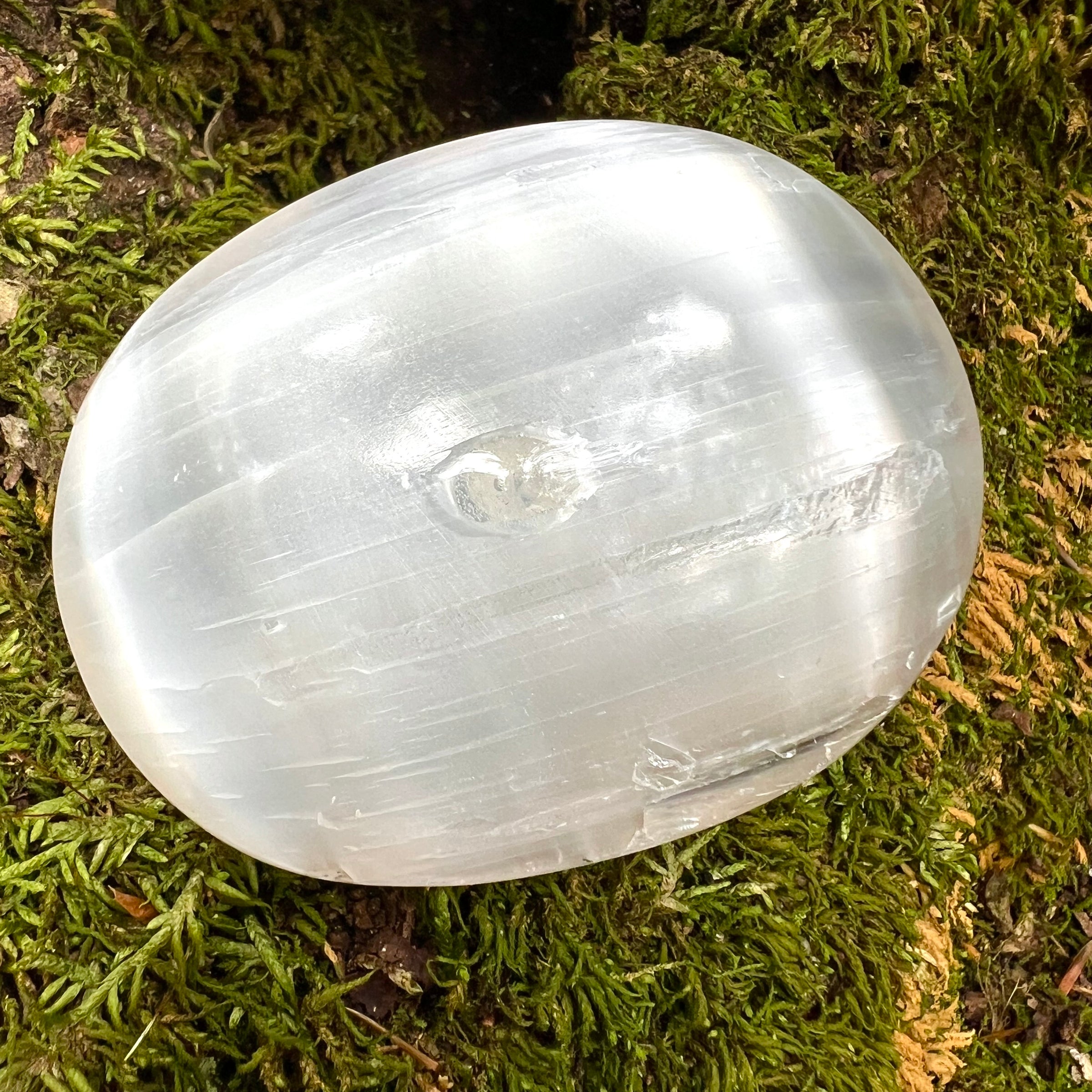 Selenite & Phenakite Palm Stone for Energy Clearing #2-Moldavite Life