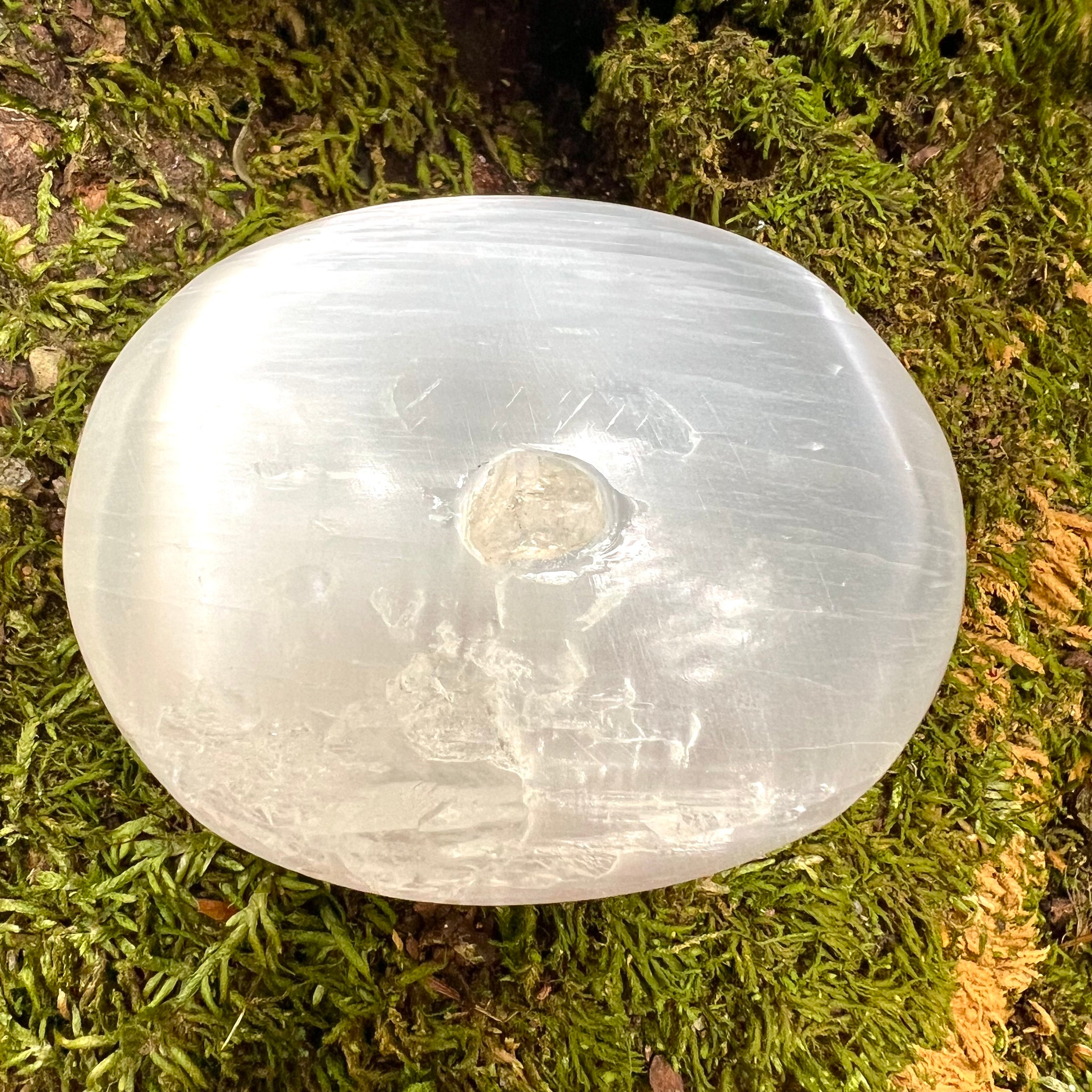 Selenite & Phenakite Palm Stone for Energy Clearing #4-Moldavite Life