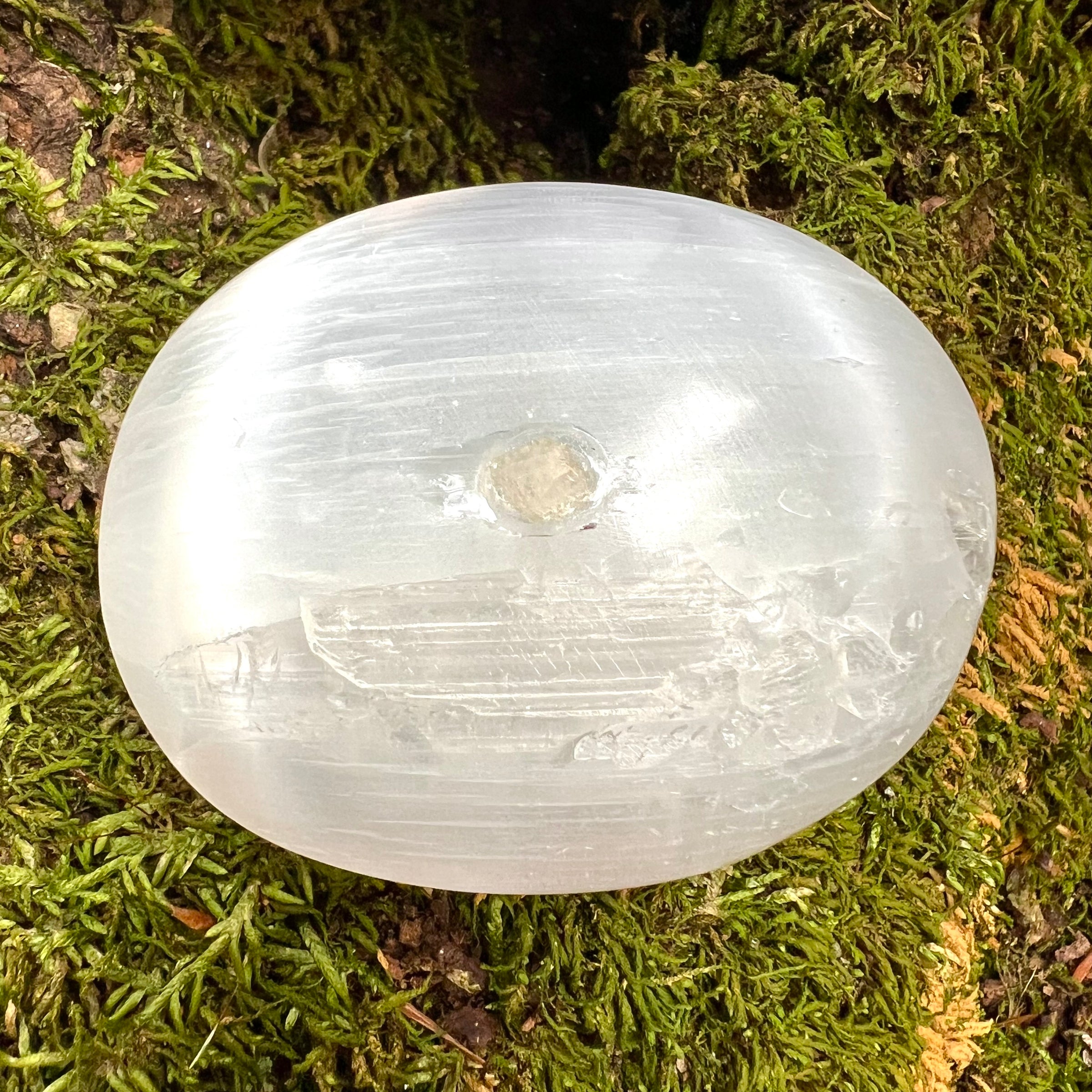 Selenite & Phenakite Palm Stone for Energy Clearing #6-Moldavite Life