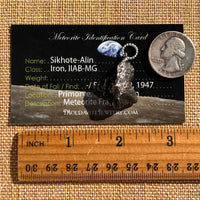 Sikhote Alin Meteorite Pendant Sterling Silver #7405-Moldavite Life