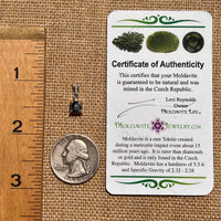 Snowflake Obsidian & Moldavite Pendant Sterling Silver #6737-Moldavite Life