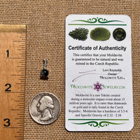 Snowflake Obsidian & Moldavite Pendant Sterling Silver #6738-Moldavite Life