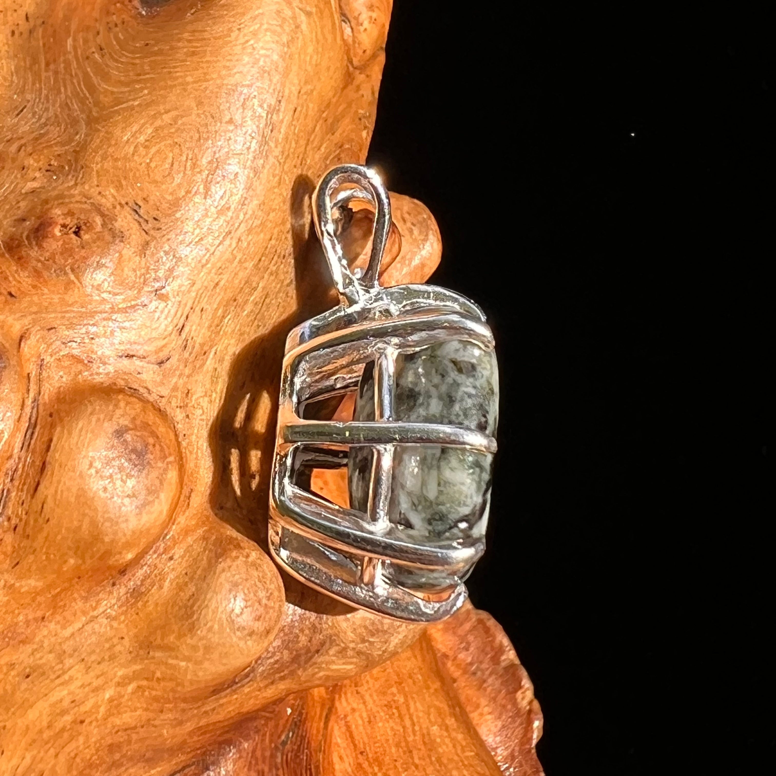 Preseli Bluestone Pendant Sterling Silver Moldavite Life