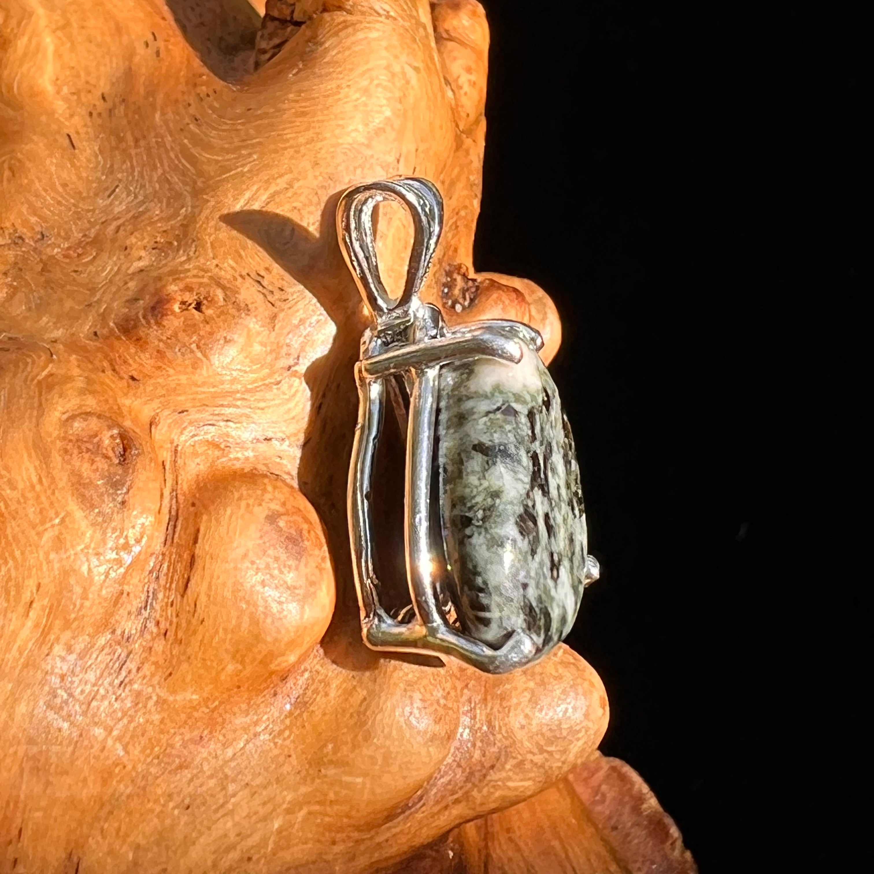 Preseli Bluestone Pendant Sterling Silver Moldavite Life