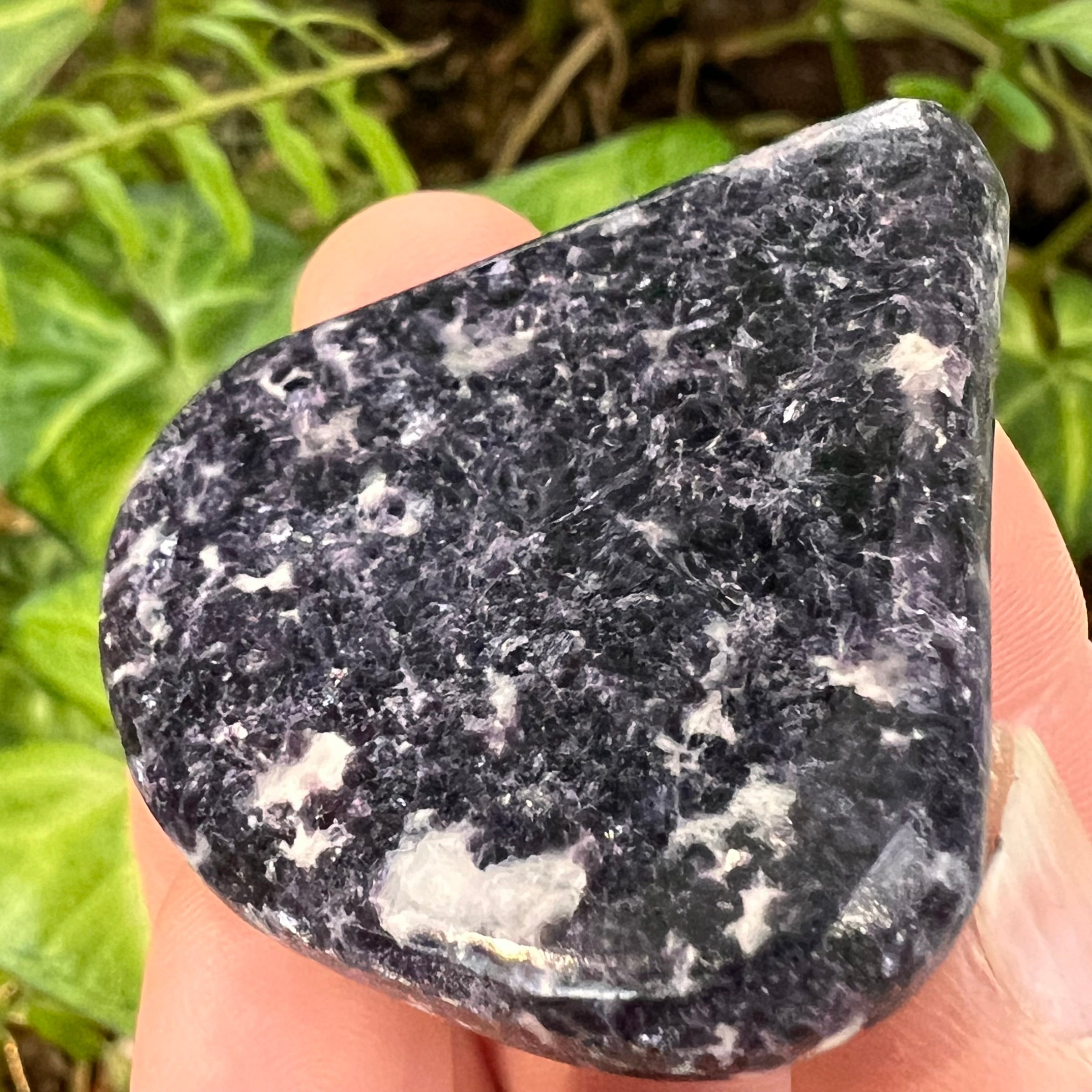 Storm Euphoralite Palm Stone #35-Moldavite Life