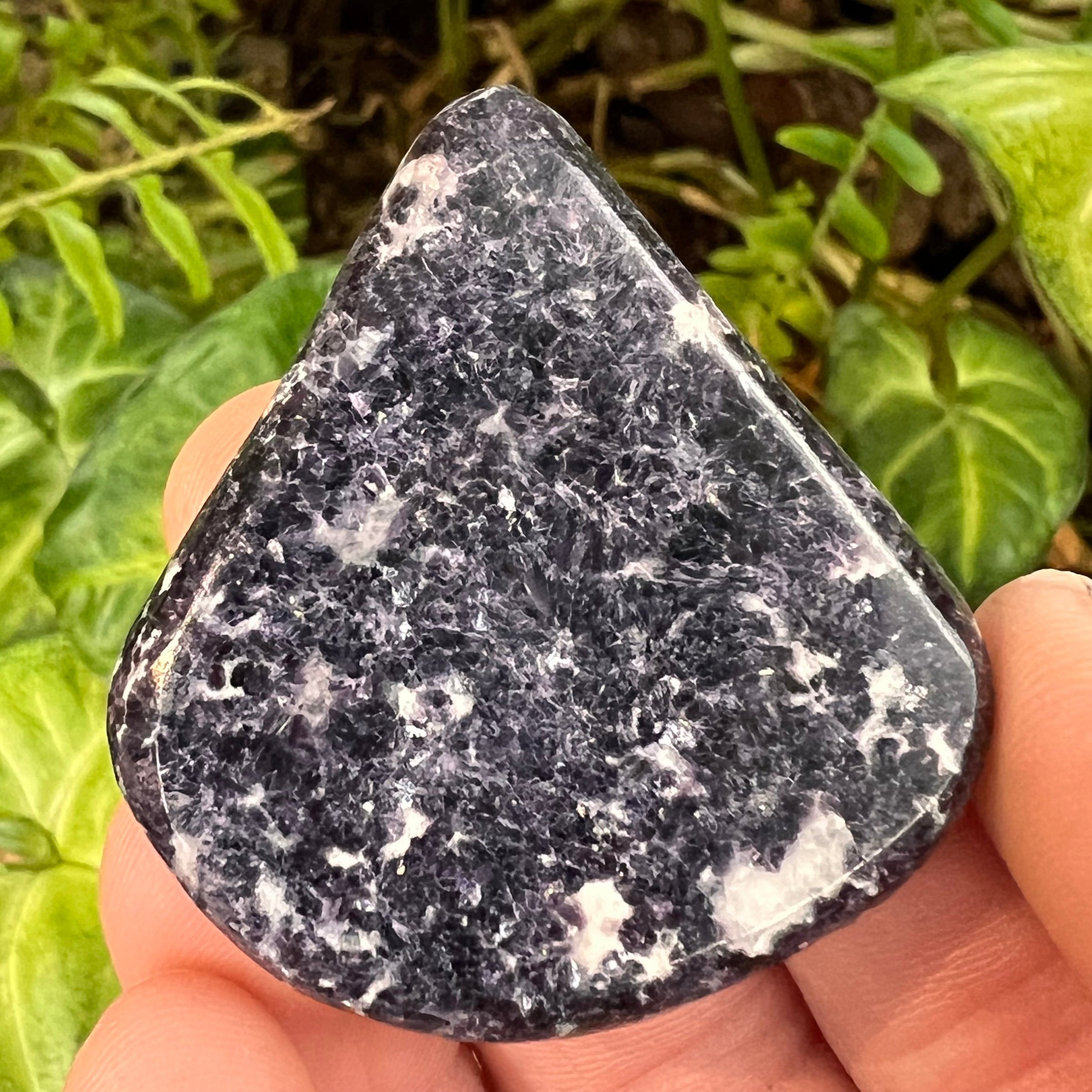 Storm Euphoralite Palm Stone #35-Moldavite Life