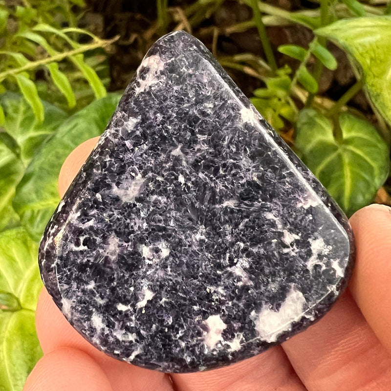 Storm Euphoralite Palm Stone #35-Moldavite Life