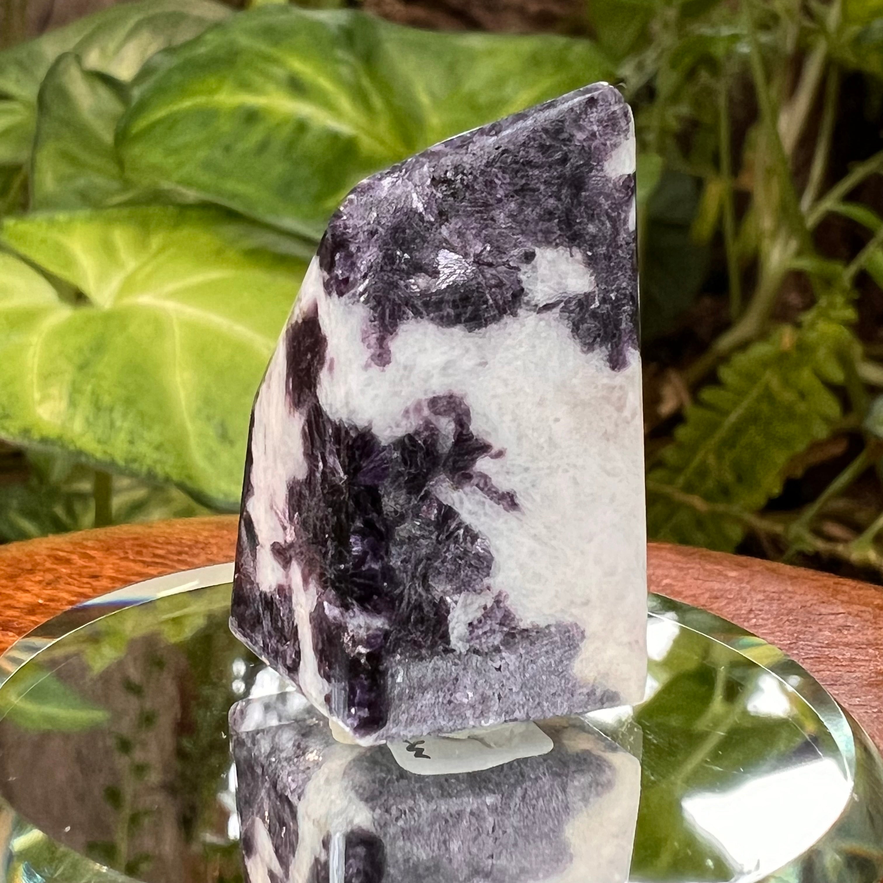 Storm Euphoralite Black Hills, South Dakota | Moldavite Life