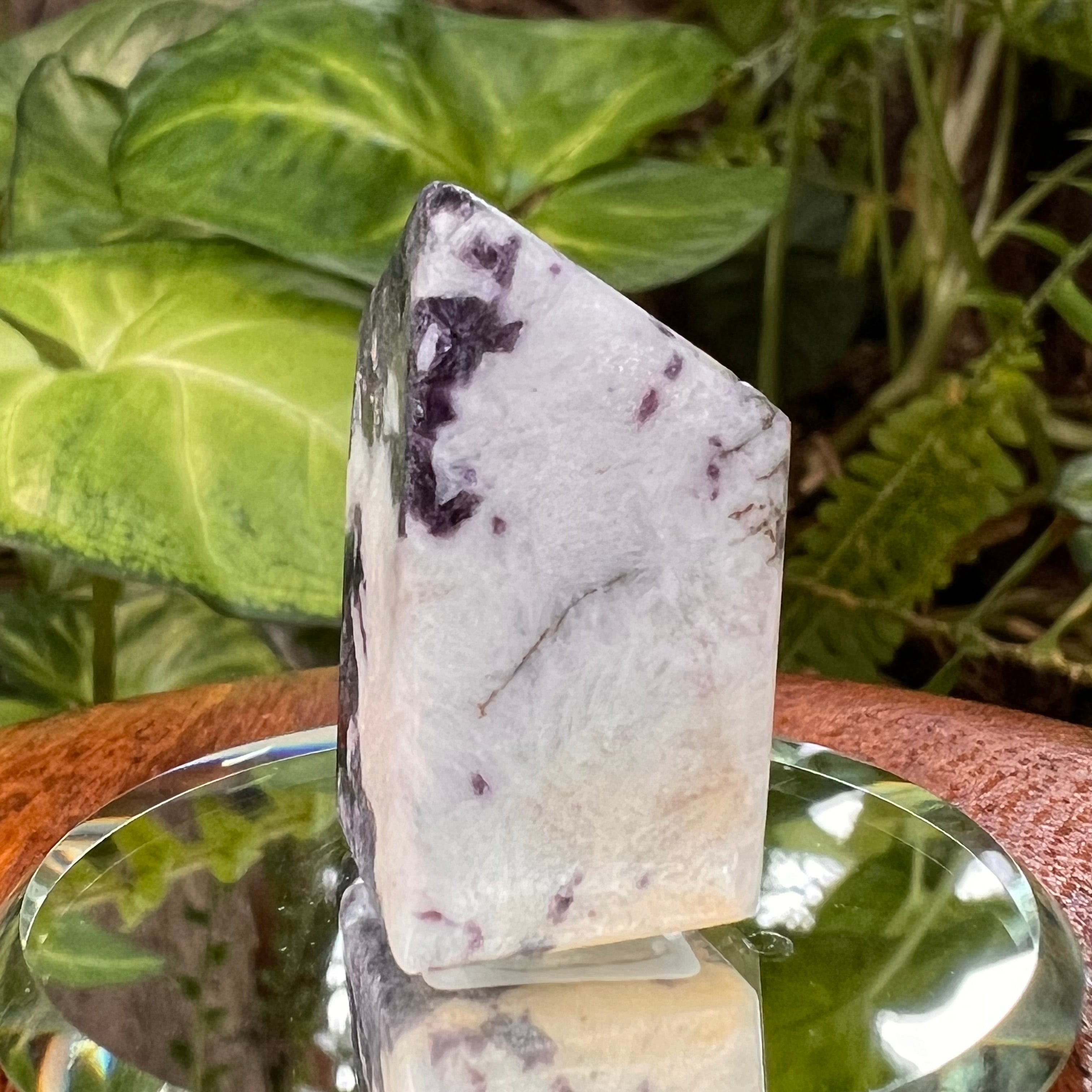 Storm Euphoralite Black Hills, South Dakota | Moldavite Life