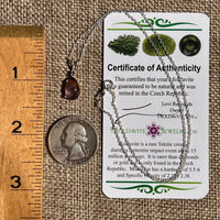 Super 7 & Moldavite Necklace Sterling Silver #8483-Moldavite Life