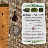 Super 7 & Moldavite Pendant Sterling Silver #8479-Moldavite Life