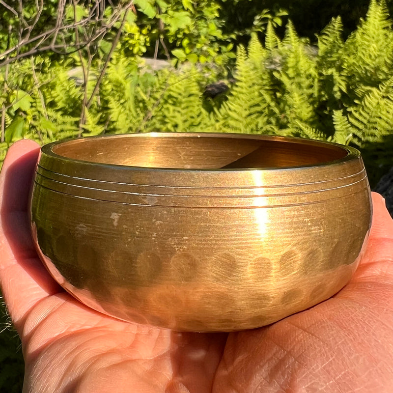 Tibetan Singing Bowl Moldavite, Phenacite, & Herkimer #67-Moldavite Life