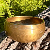Tibetan Singing Bowl Moldavite, Phenacite, & Herkimer #67-Moldavite Life