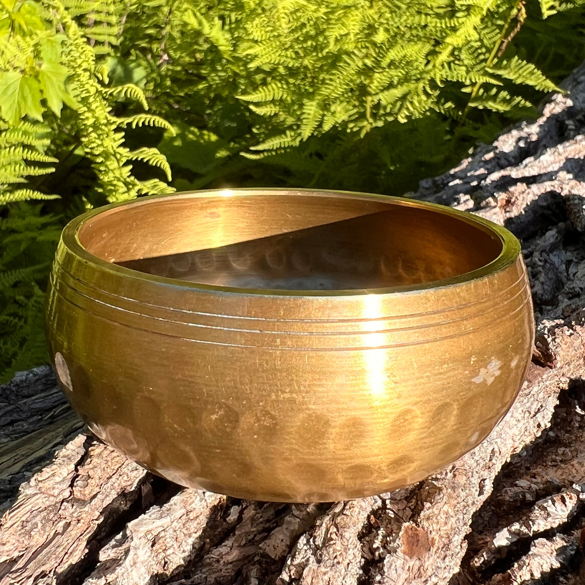 Tibetan Singing Bowl Moldavite, Phenacite, & Herkimer #67-Moldavite Life