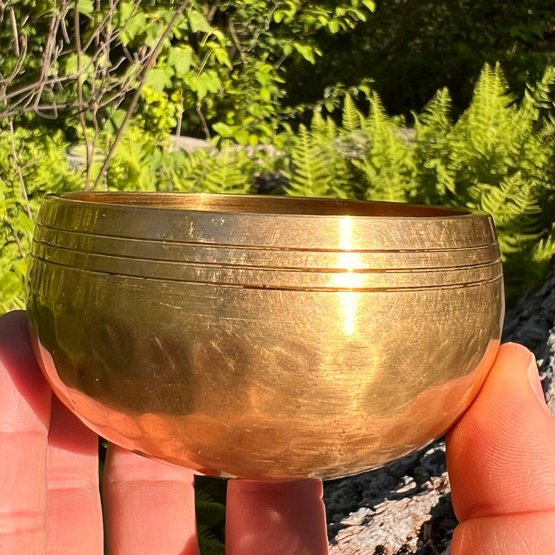 Tibetan Singing Bowl w/ Moldavite & Libyan Desert Glass #13-Moldavite Life