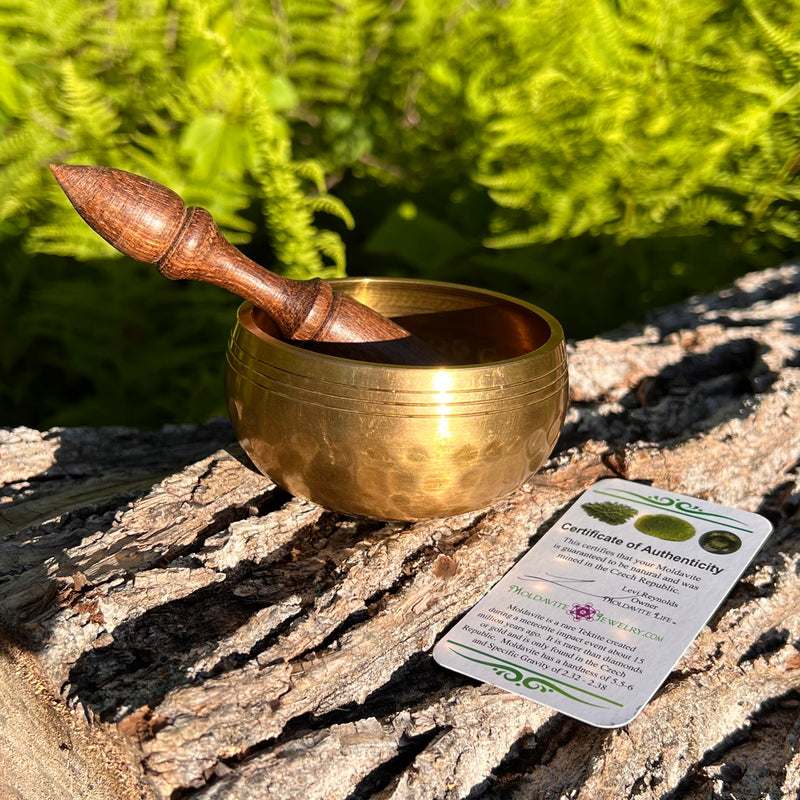 Tibetan Singing Bowl w/ Moldavite & Libyan Desert Glass #13-Moldavite Life