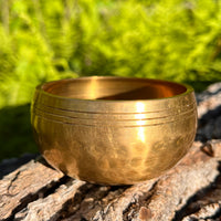 Tibetan Singing Bowl w/ Moldavite & Libyan Desert Glass #13-Moldavite Life