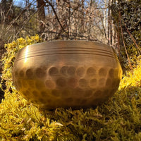 Tibetan Singing Bowl with Herkimer #5-Moldavite Life