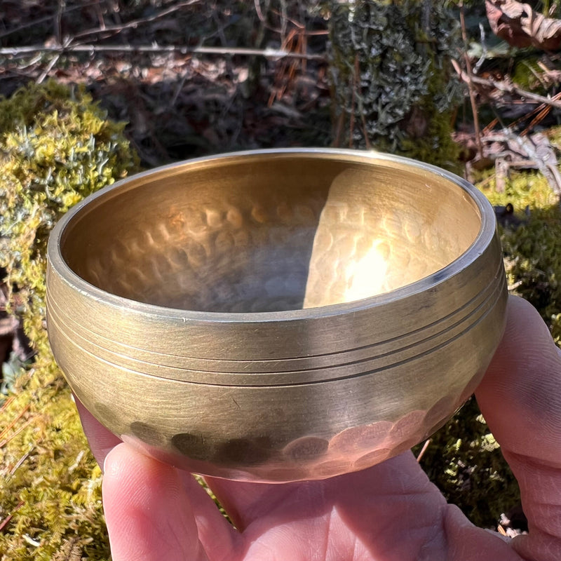 Tibetan Singing Bowl with Herkimer #5-Moldavite Life