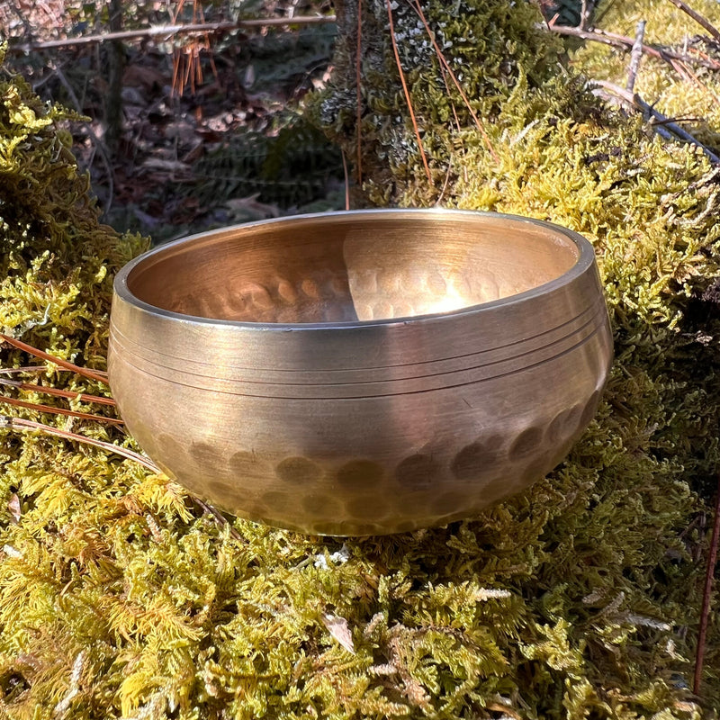 Tibetan Singing Bowl with Herkimer #7-Moldavite Life