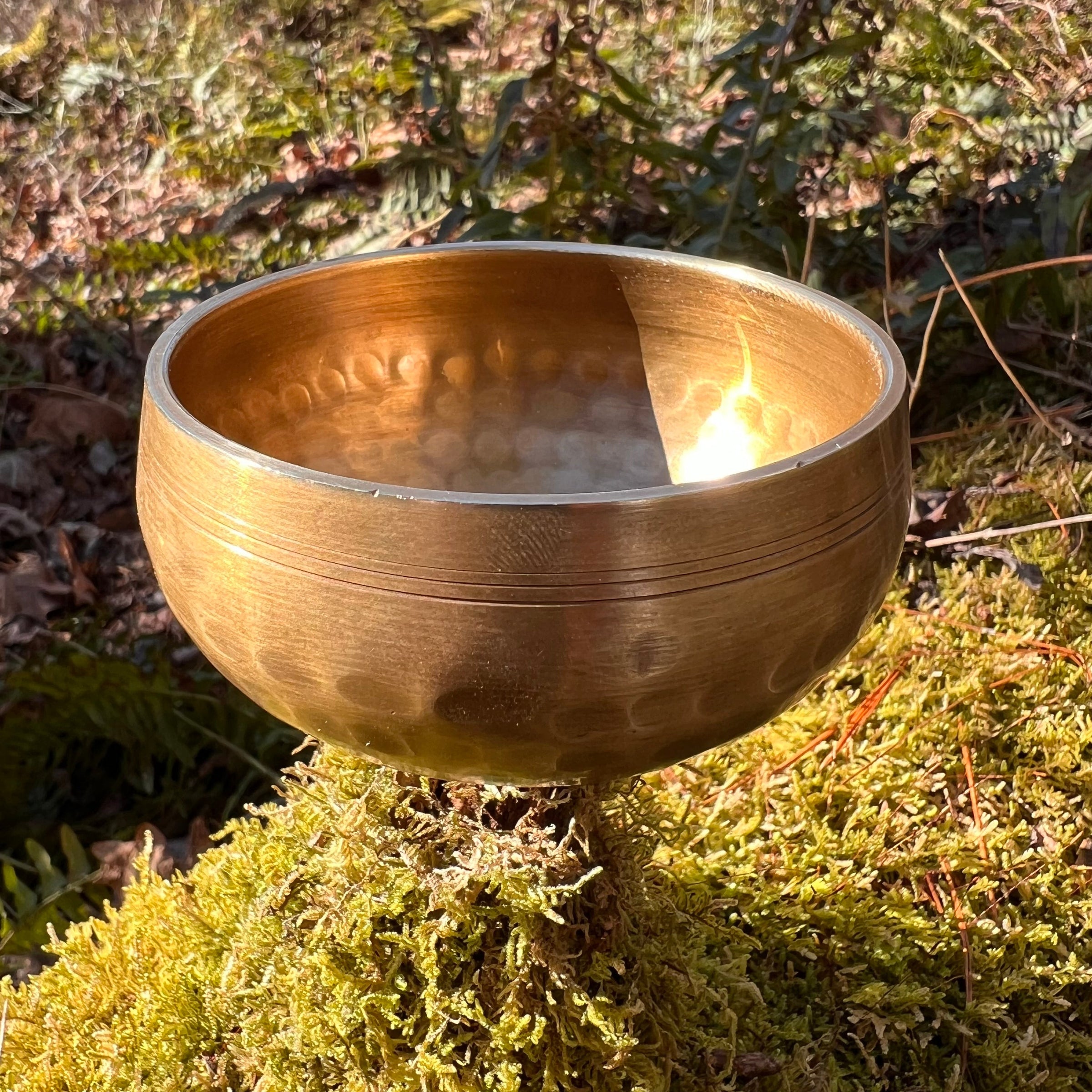 Tibetan Singing Bowl with Moldavite #4-Moldavite Life