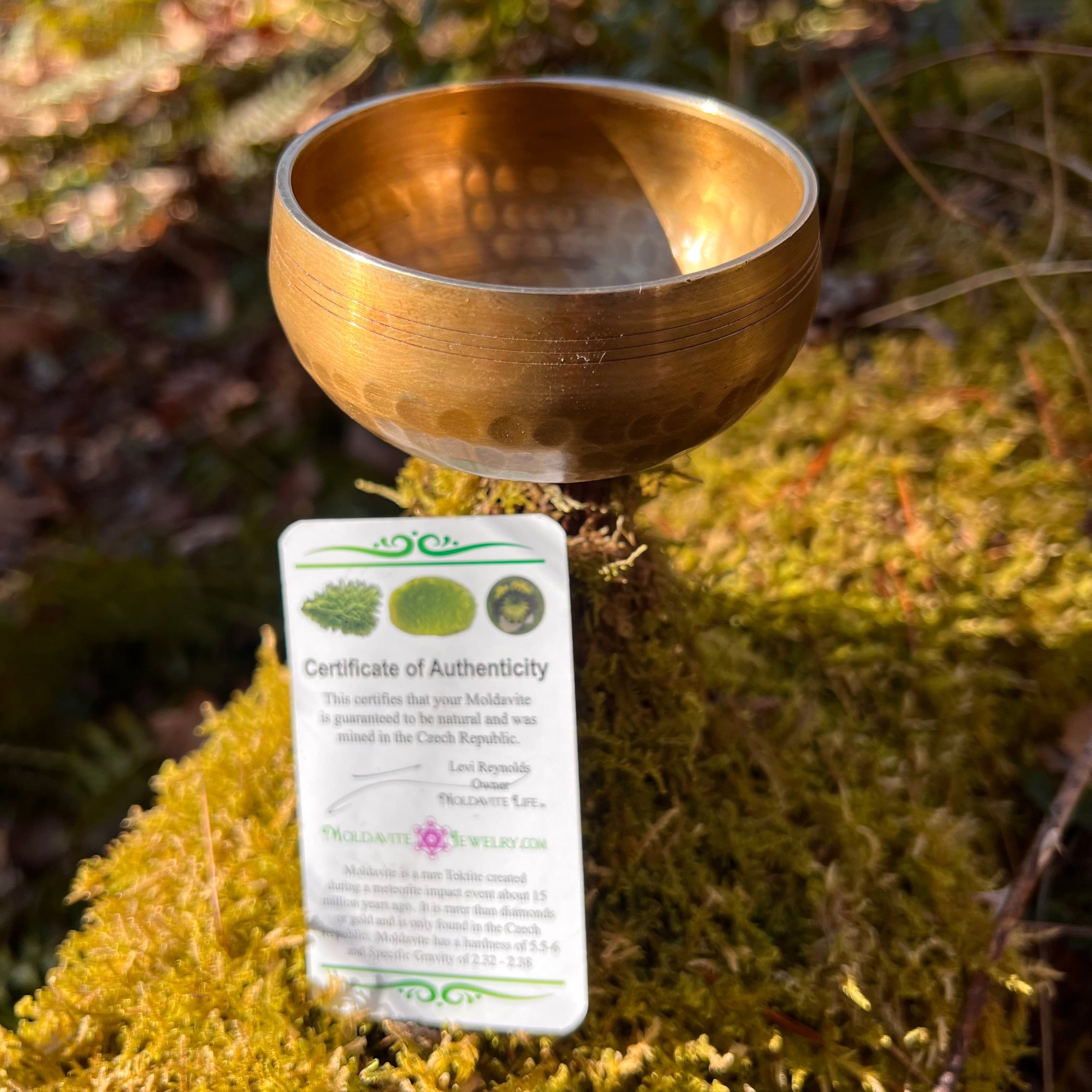 Tibetan Singing Bowl with Moldavite #6-Moldavite Life