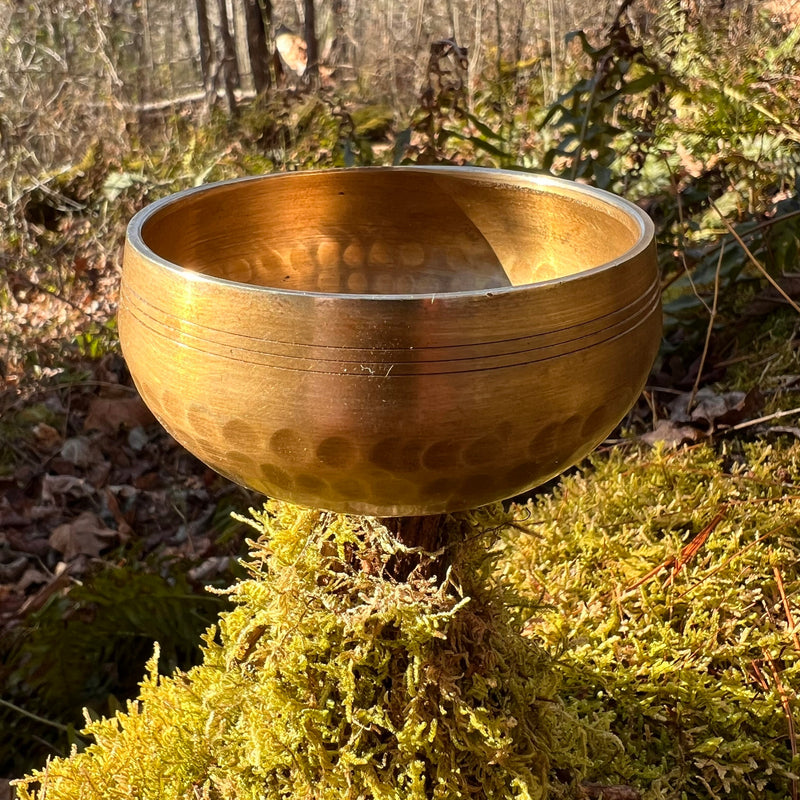 Tibetan Singing Bowl with Moldavite #6-Moldavite Life