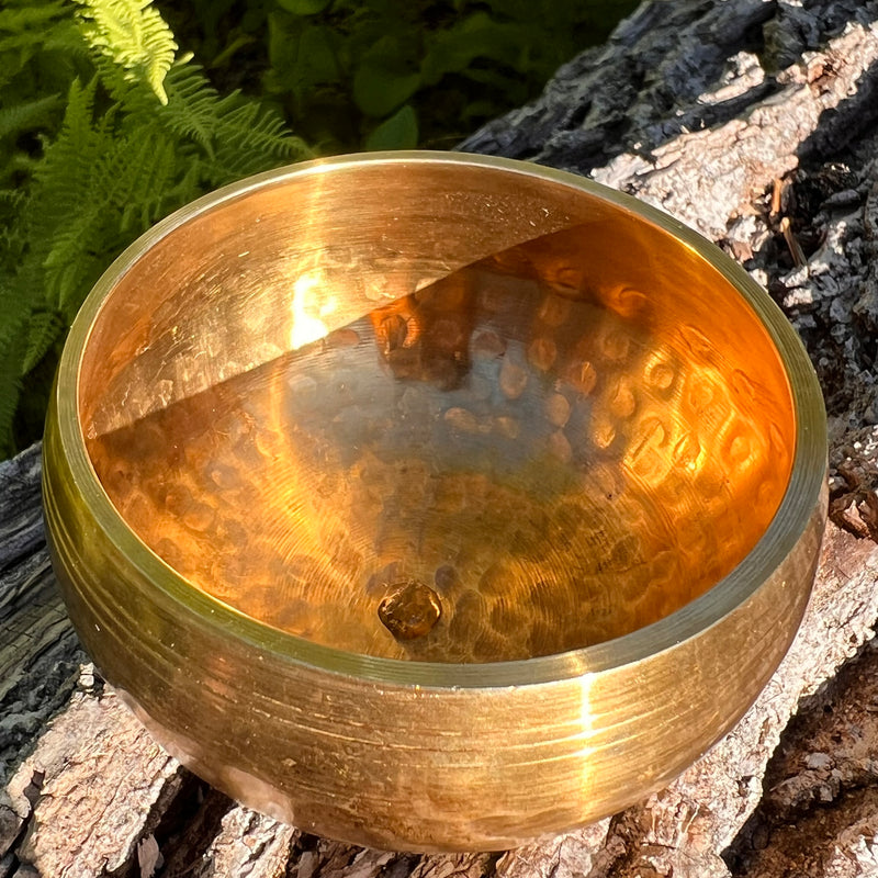 Tibetan Singing Bowl with Moldavite #63-Moldavite Life